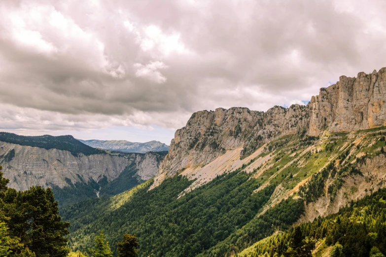 the rocky cliffs are near the trees