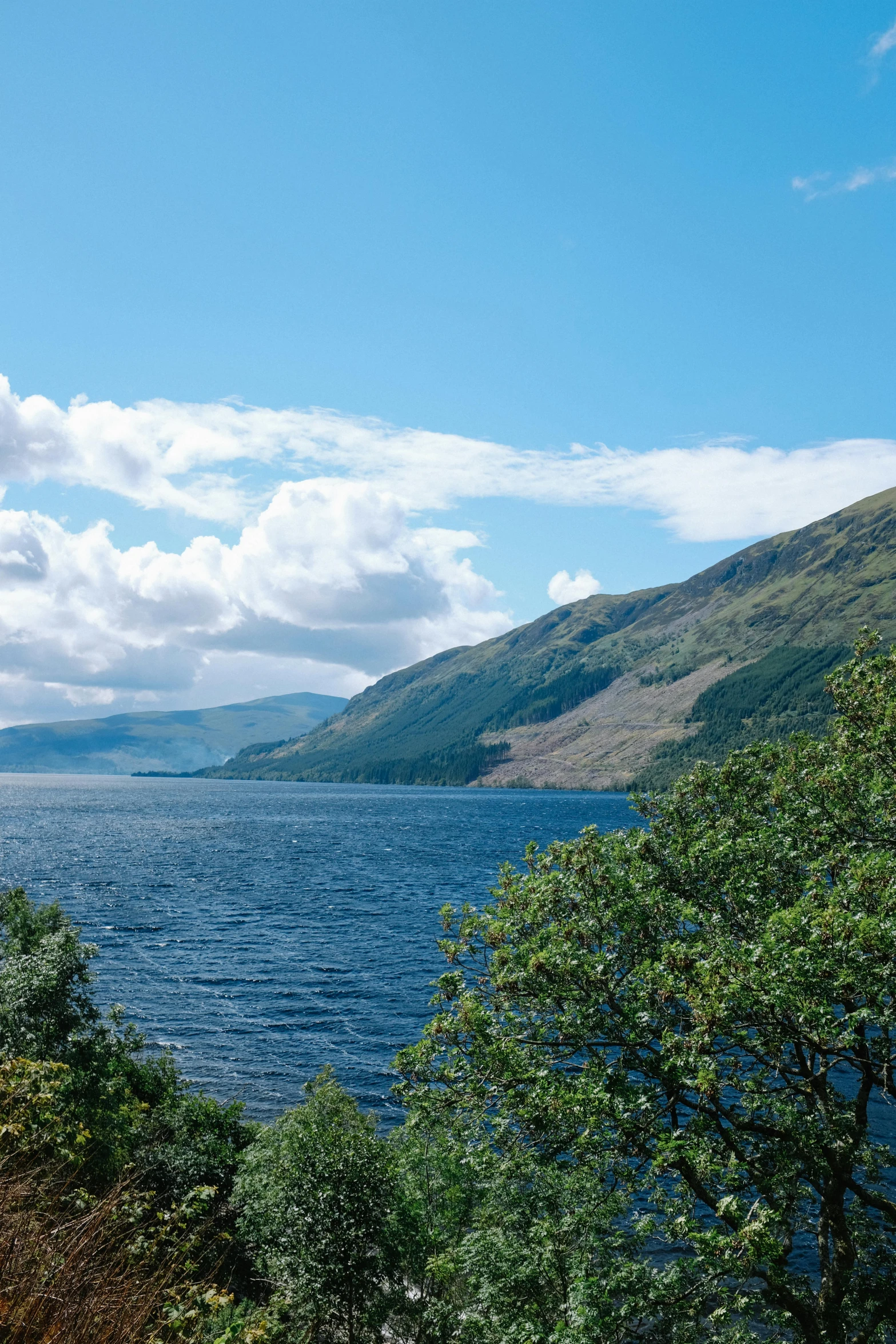 an open lake with trees and mountains in the background