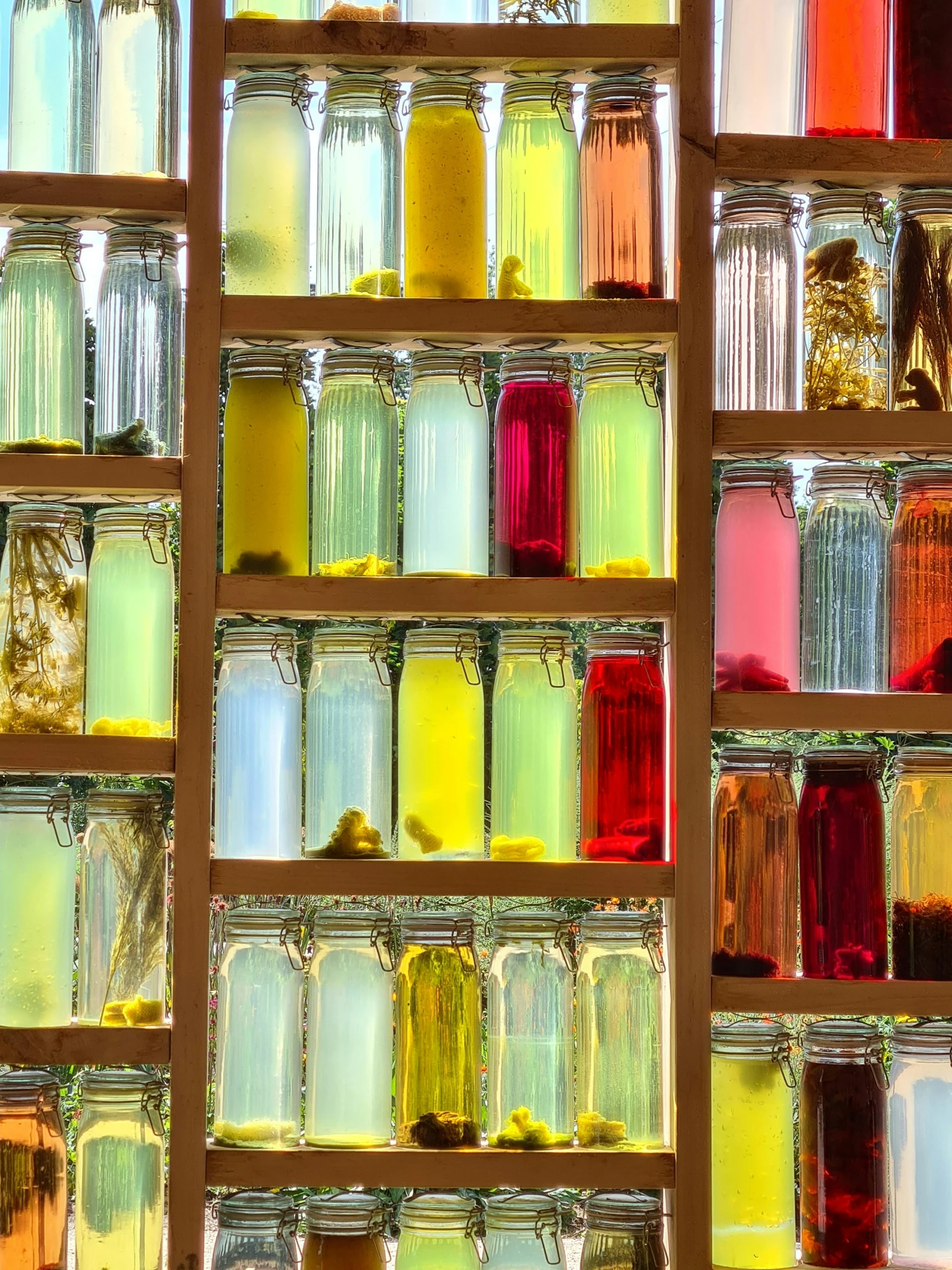 rows of colored jars on the wall in front of a window