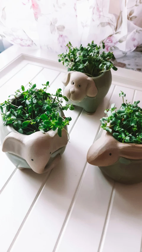 three pots holding small plants shaped like small birds