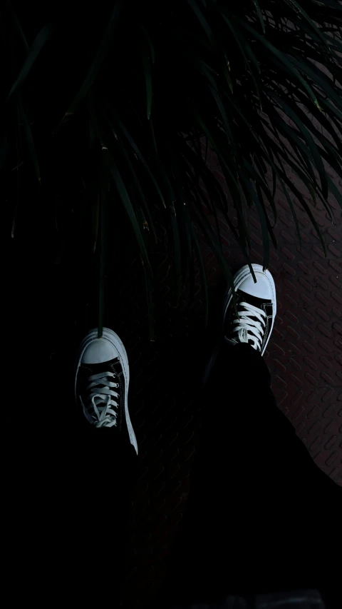 a person has their feet up against a plant