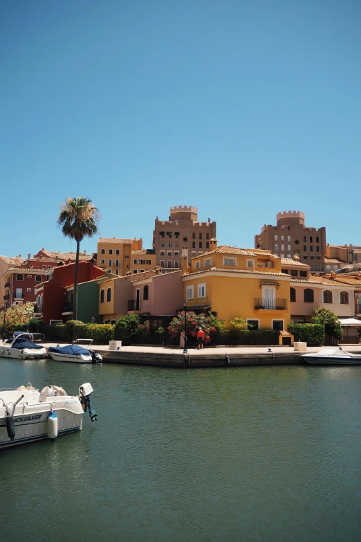 boats moored in the harbor with homes and trees on the horizon