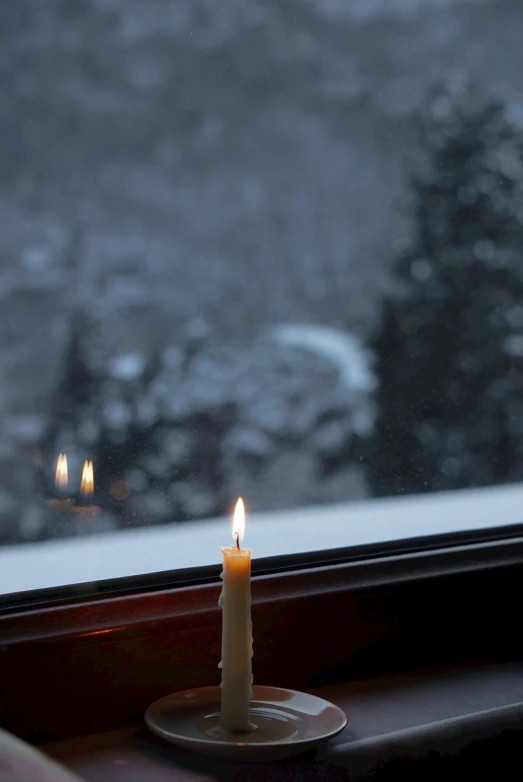 a candle is on a plate in front of a window with trees outside