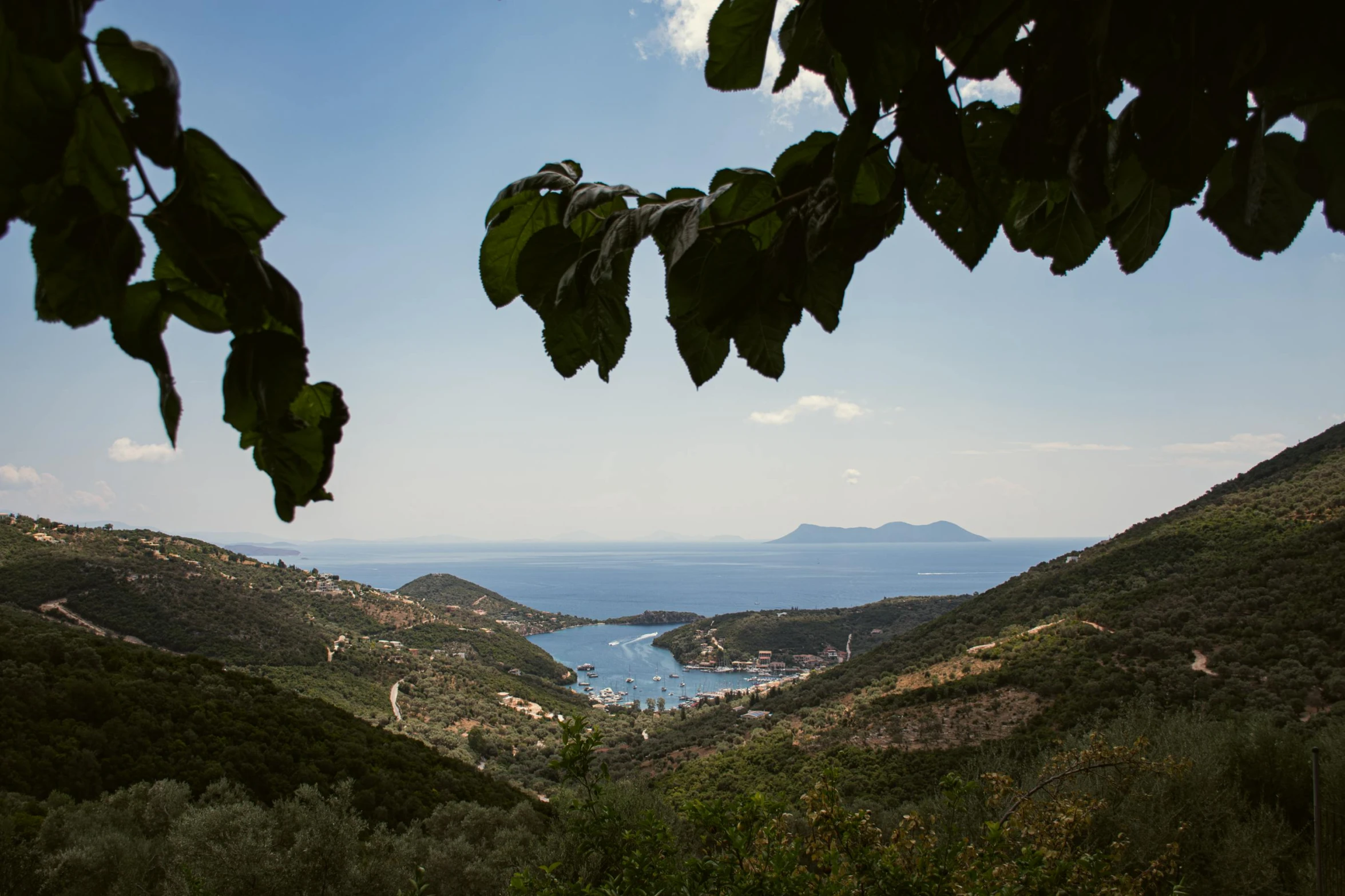 a green hill with some trees and blue water