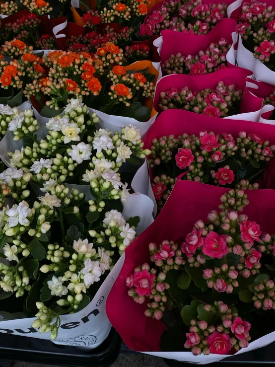 colorful flowers sit in paper bags lined up