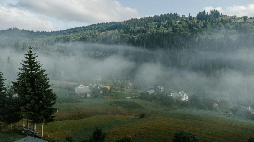 some sort of fog in a forest with many houses and trees