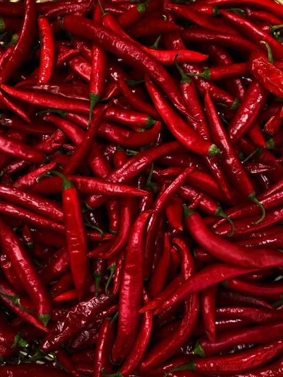 the fresh chilli is red and ready to be eaten