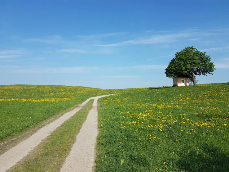 a two lane road that goes through a green field