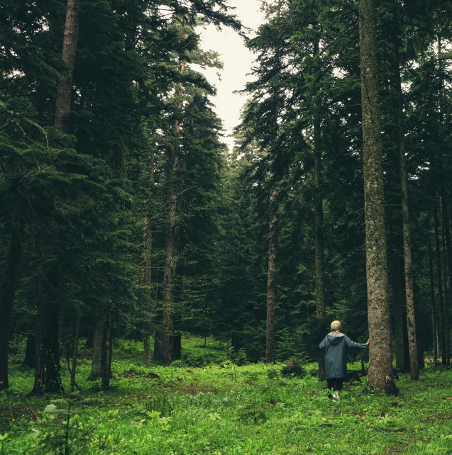 a man that is standing in the grass by trees