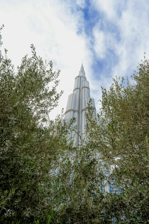 tall tree and building against the sky seen through some leaves