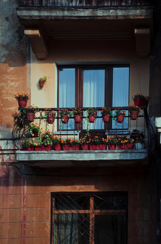 this building has two different kinds of plants on the balconies