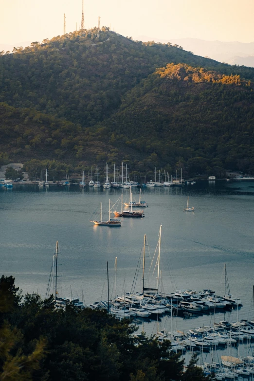 boats are docked at the dock near a small island