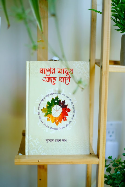 a book titled maple leaves sits on display