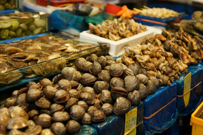 various kinds of seashells and olives on display at a market