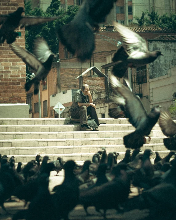 a man on top of stairs surrounded by pigeons