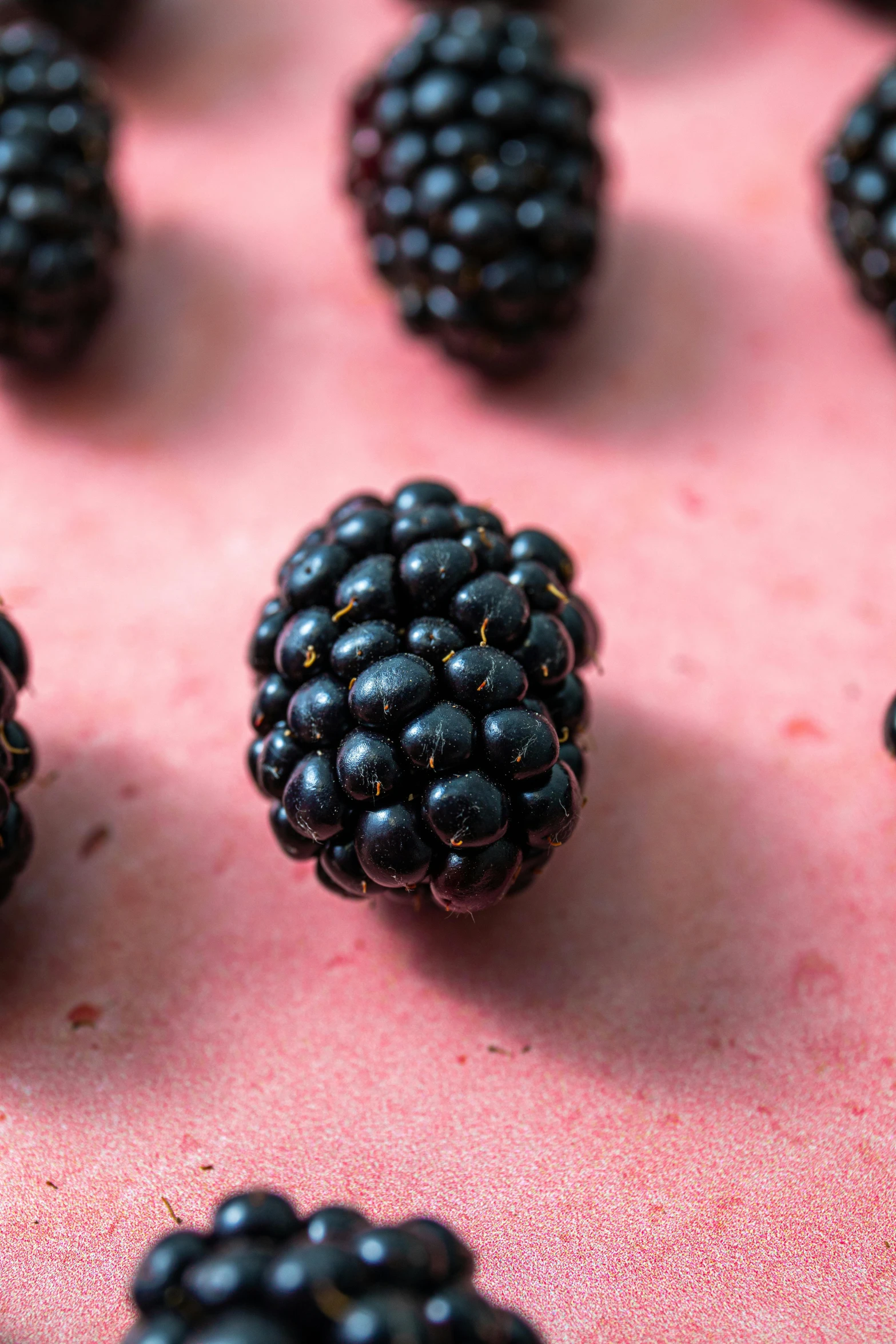 several blackberries are arranged in rows on a pink background