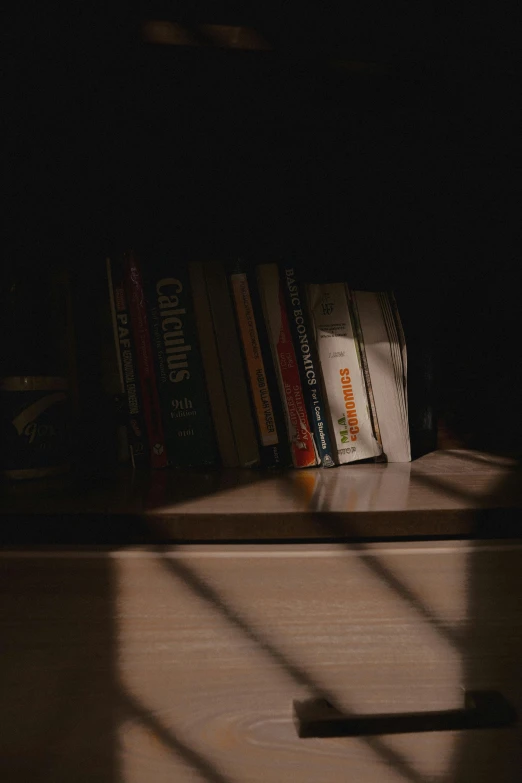 a book shelf with books on top and the shadow of a cat walking by