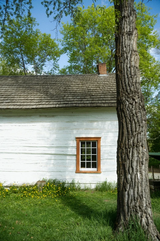 a white house next to a tree in the grass