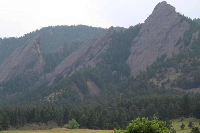 a mountain with lots of trees near it