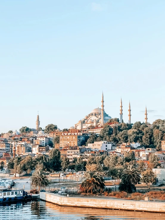 a city with buildings and trees overlooking water