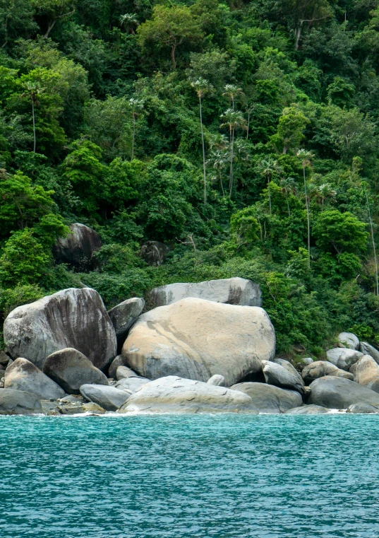 an animal walks on top of rocks on the side of a mountain