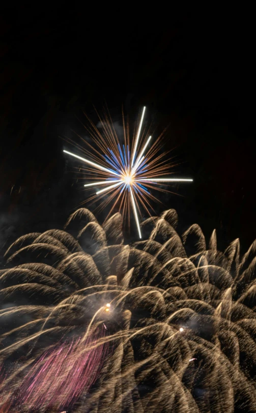 fireworks exploding up into the night sky