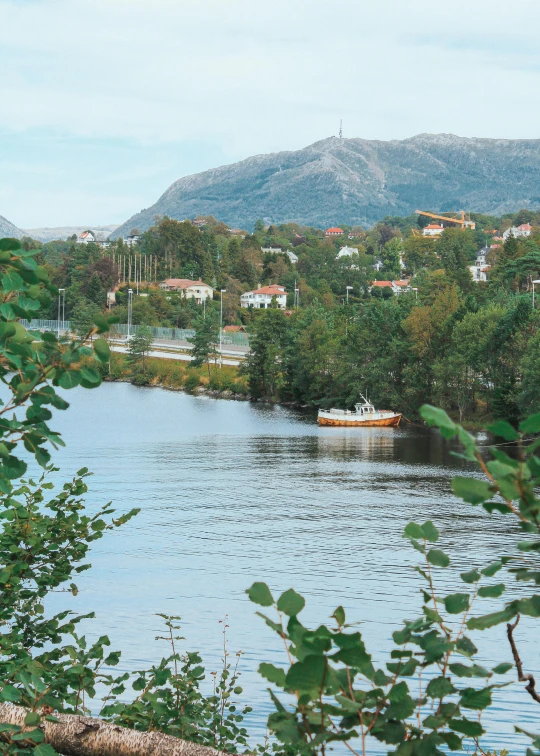 a boat in the river surrounded by some bushes