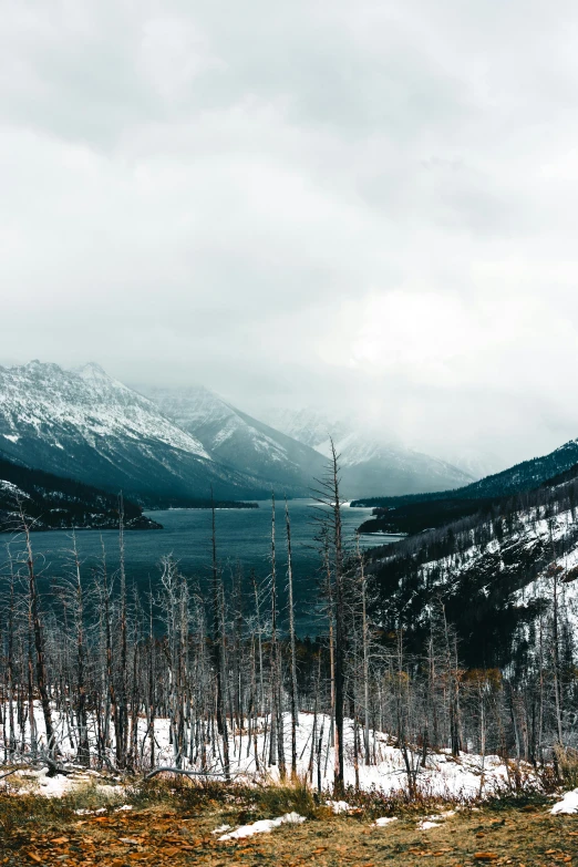 the view of snow covered trees and mountains from an overlook point