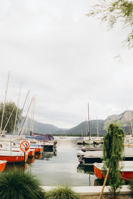 a bunch of boats are in a body of water