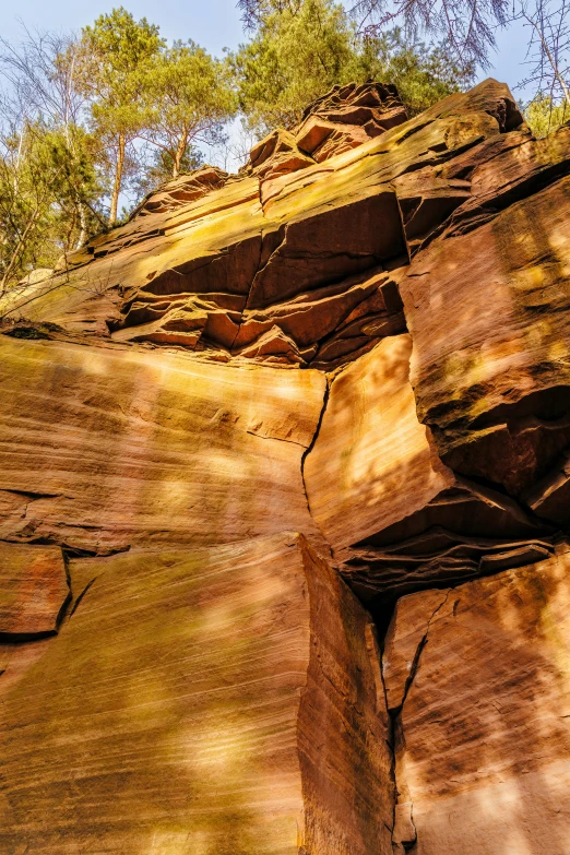 a tall rock with a tree on top