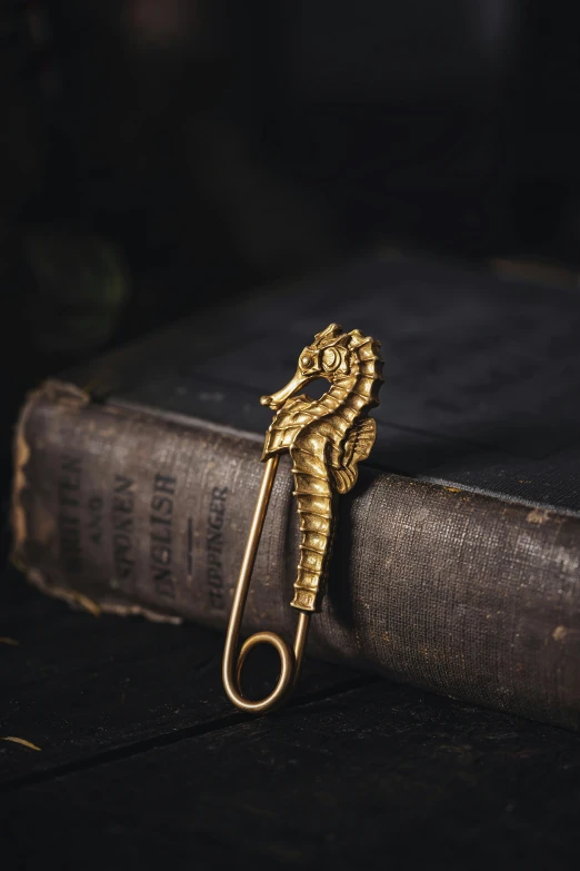 a golden dragon brooch resting on a book