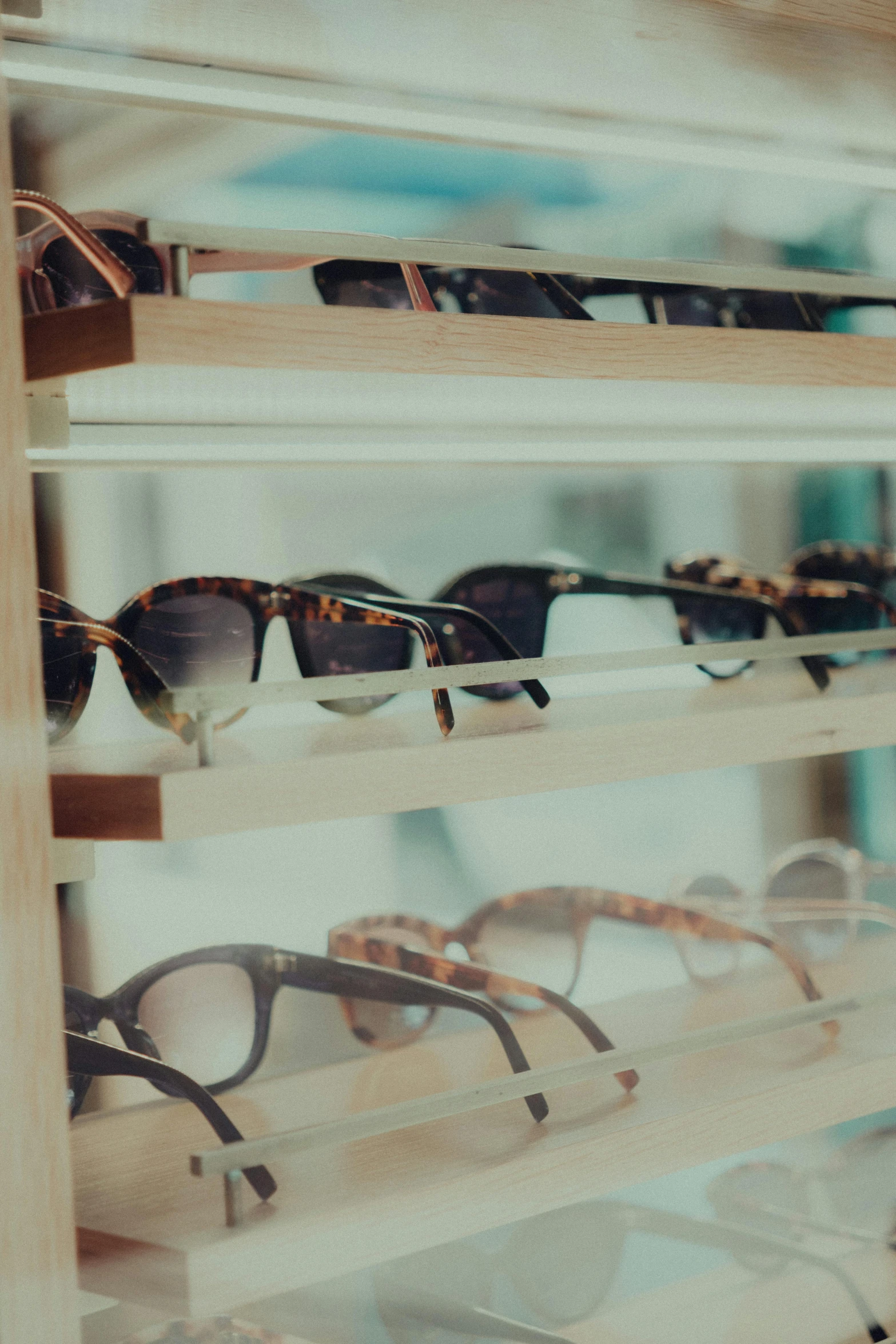 a display case in a retail store containing many different sunglasses