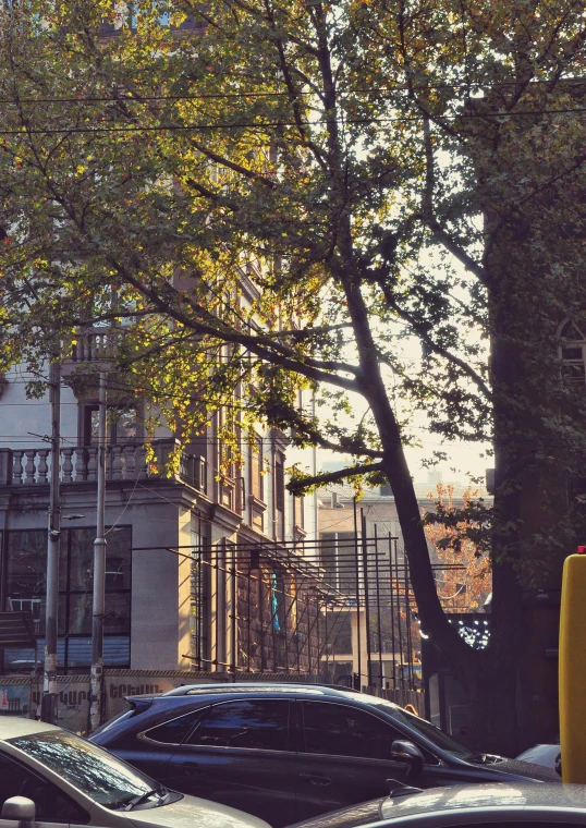 some cars parked by a fire hydrant and some buildings