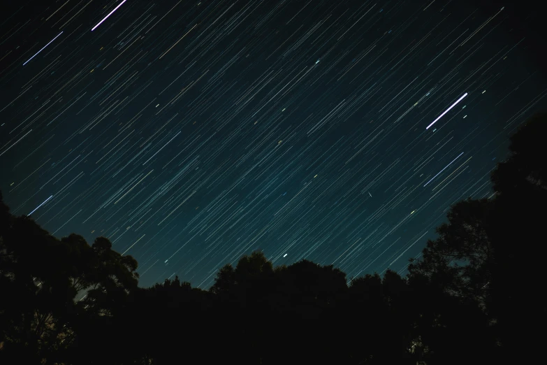 stars are shown in the sky above a forest