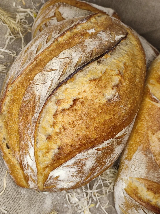 a round loaf of bread on a cloth