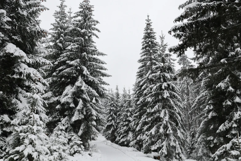 a snow skier is going down the slopes of a snowy slope