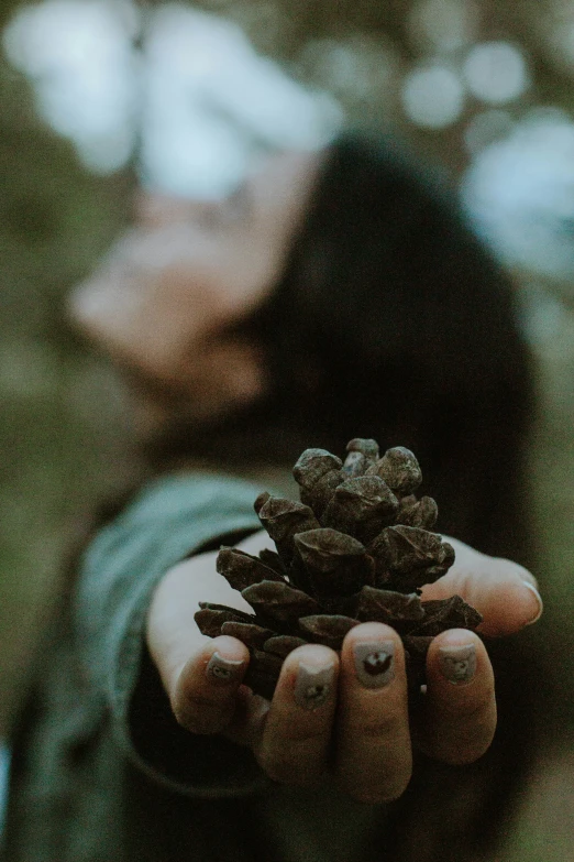 a persons hand holding a little pine cone