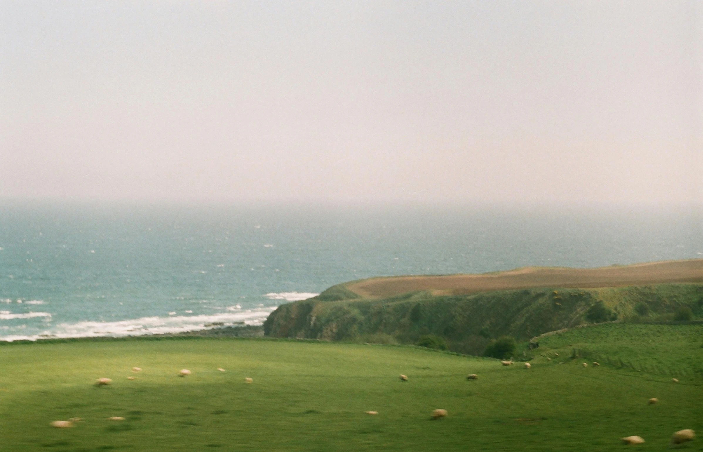 a large grassy hill has sheep grazing on it