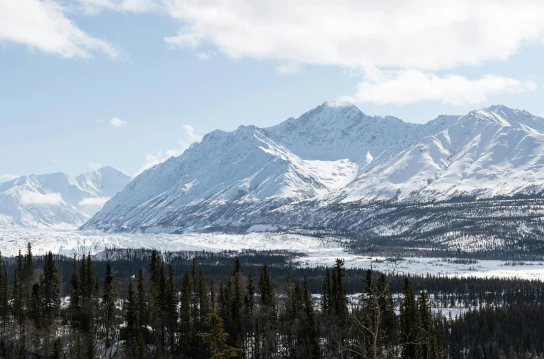 a snow covered mountain range with trees in foreground