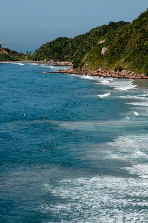 several birds flying above a body of water near a cliff