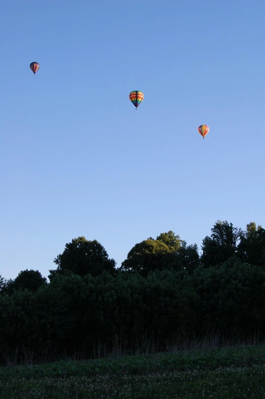 three  air balloons flying over a wooded area