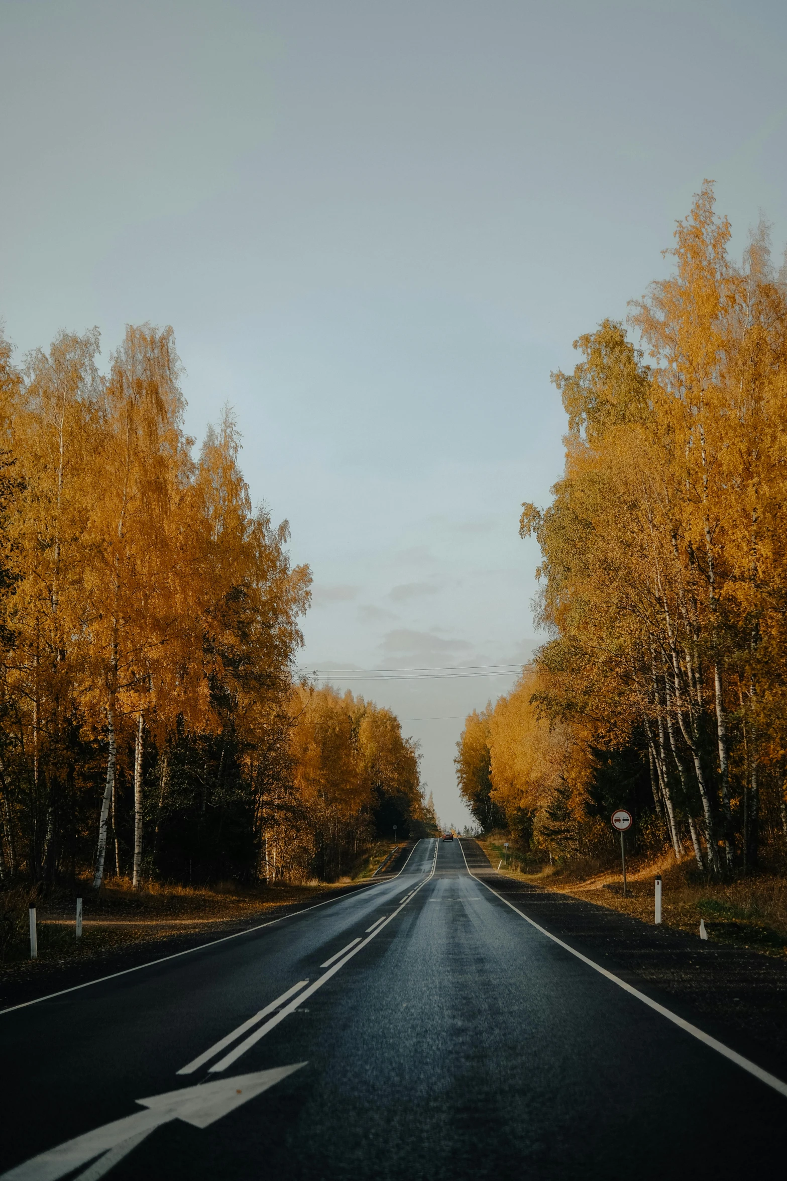 an empty road in the middle of a forest with yellow foliage