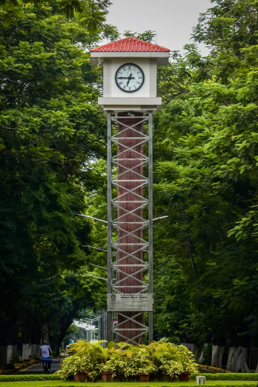 a clock tower on top of a green field in the middle of a forest