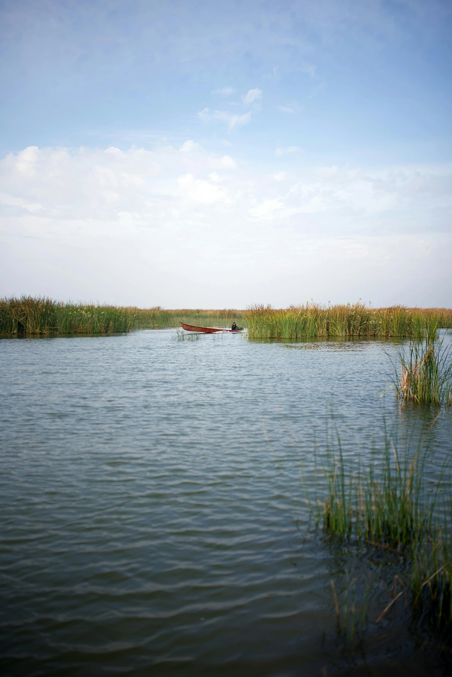 two boats in the water with tall green grasses