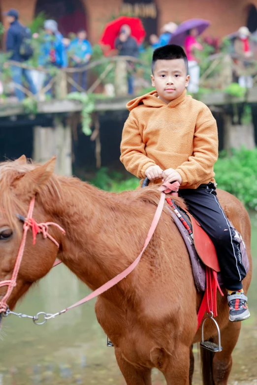 little boy in brown jacket riding horse next to large river