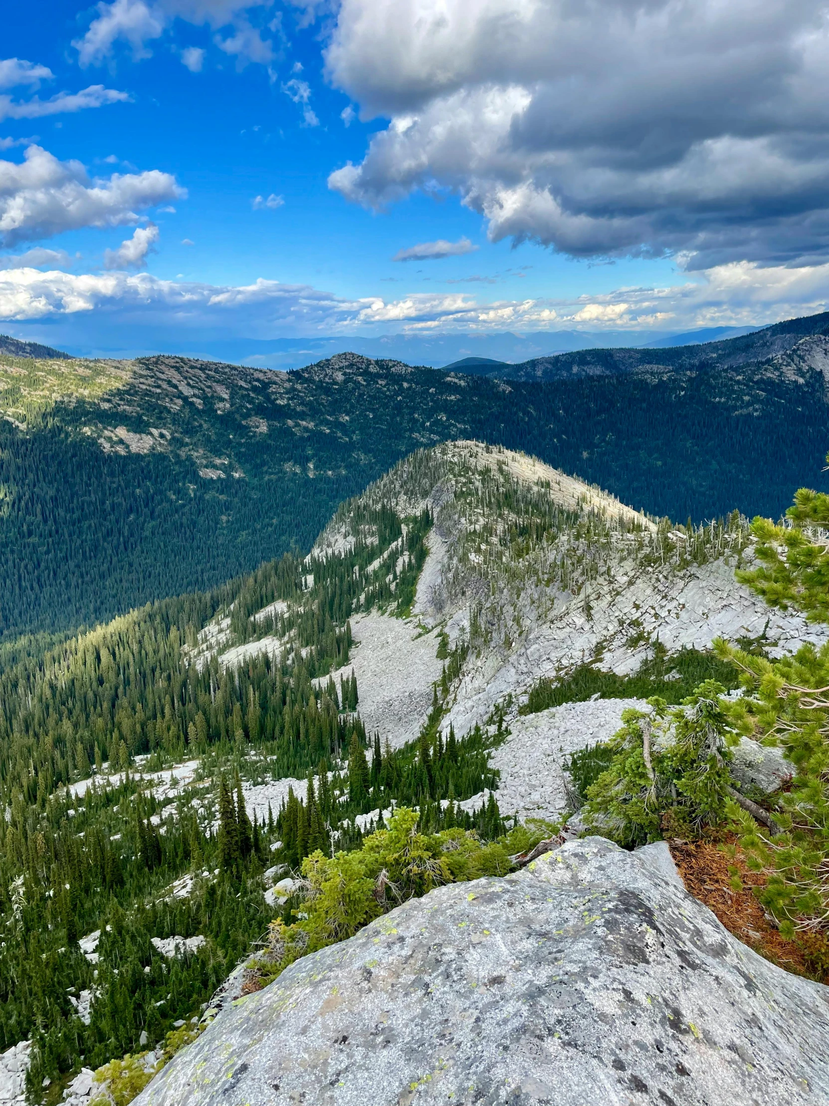 the view of the mountains and trees from the top of the mountain