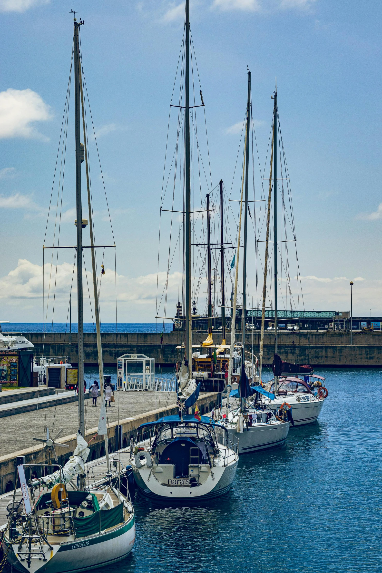 several sailboats docked in a bay next to a pier