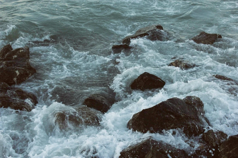 a bird that is sitting on some rocks