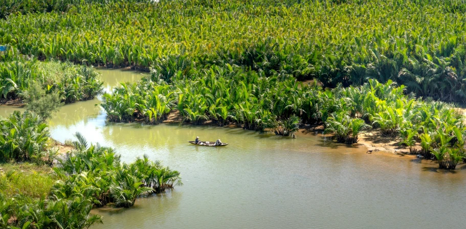 a small boat traveling through some small shallow, placid river