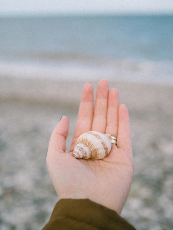 a woman holding a seashell in her right hand